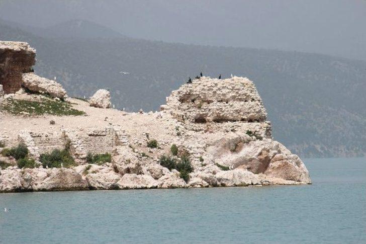 Beyşehir Gölü Adalarında Yavru Kuşlarla Renklendi G1