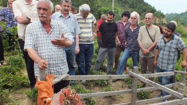 Çayan Birben Rize’deki Mezarı Başında Anıldı