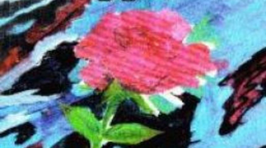 &Ccedil;elik, Okurlarıyla Bir Araya Geliyor