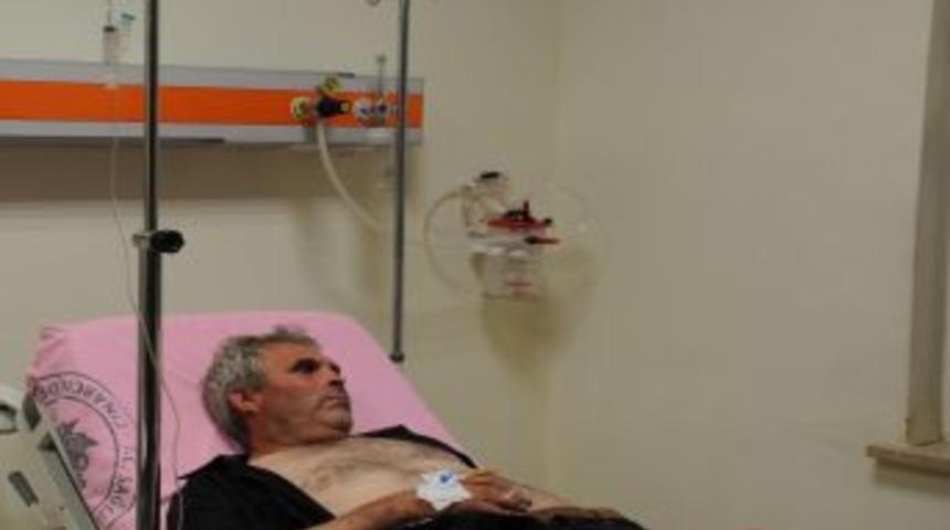 Yalova'da Kaybolan &Ccedil;oban 48 Saat Sonra Bulundu