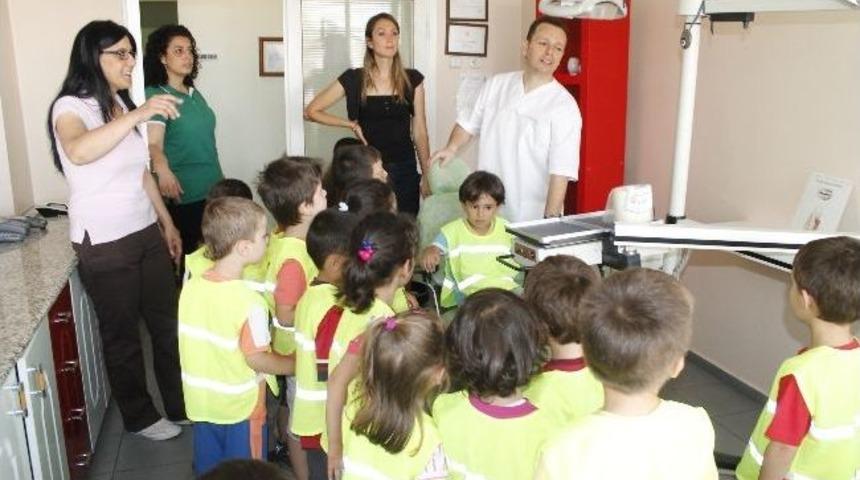 Kreş &Ouml;ğrencileri Diş&ccedil;i Muayenehanesini Ziyaret Etti