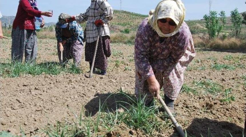 Beyhan Nine Sağlığını &Ccedil;apasına Bor&ccedil;lu Olduğunu S&ouml;yledi