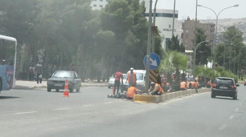 Şanlıurfa &Ccedil;i&ccedil;eklerle Donatılıyor