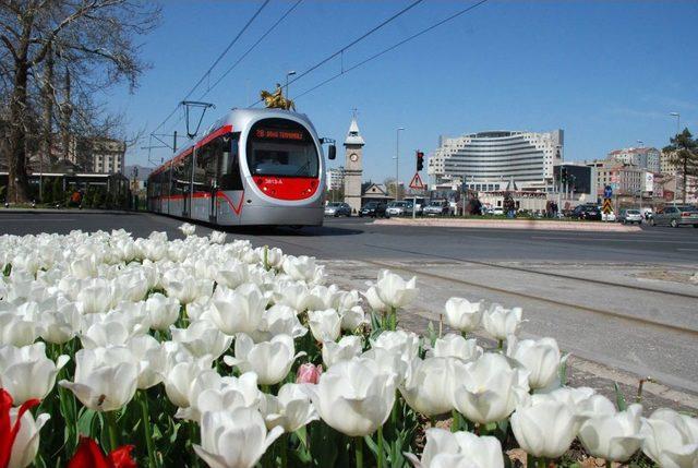 Kayseri'de Her Gün 350 Bin Insan Toplu Taşımadan Yararlanıyor