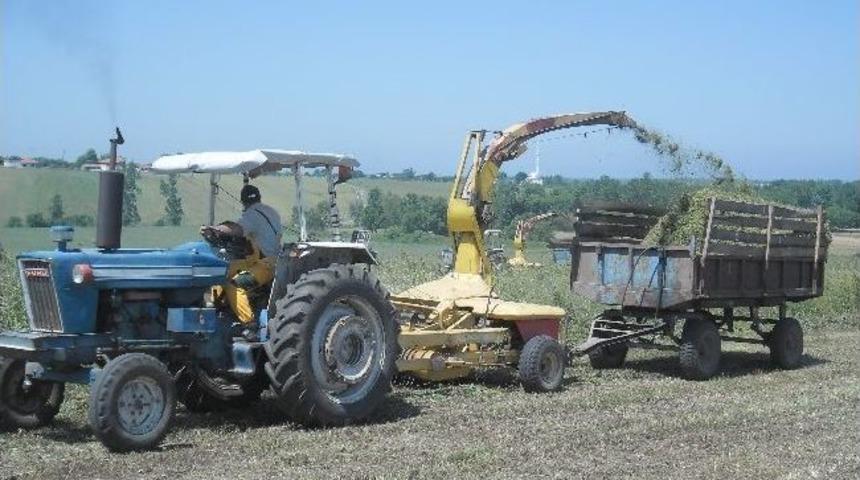 Ot Silaj Yapımına Başlandı
