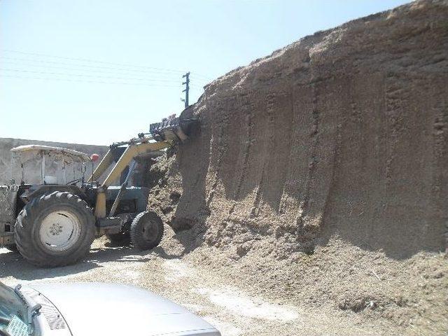 Ot Silaj Yapımına Başlandı 1