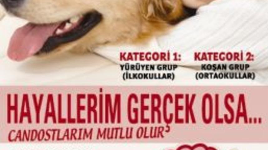 Miniklerin Hayalindeki Can Dostları