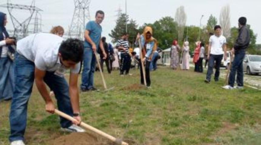 Reyhanlı'daki Patlamada &Ouml;lenlerin Hatırasına 52 Fidan Dikildi
