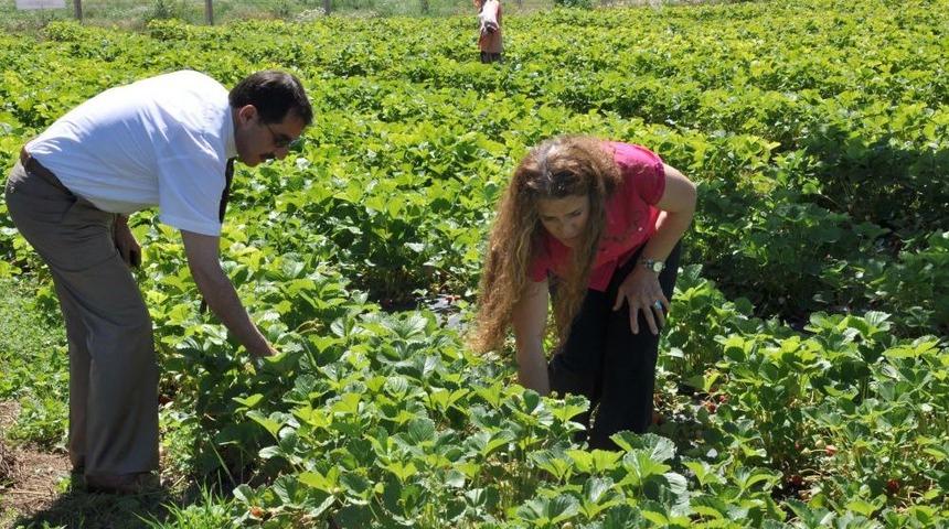 Tunceli&rsquo;de Kadınlar &Uuml;retiyor