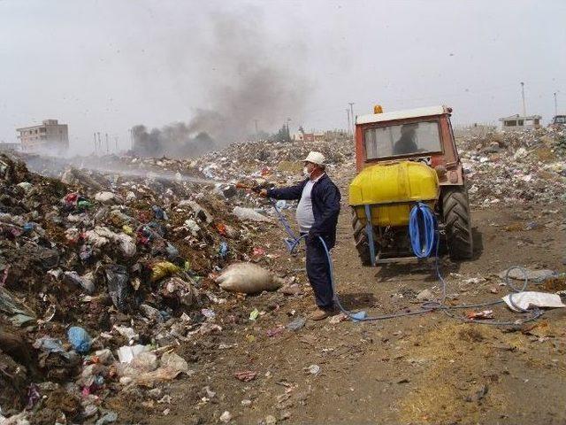 Viranşehir Belediyesi Haşerelerle Mücadele Sürüyor 2