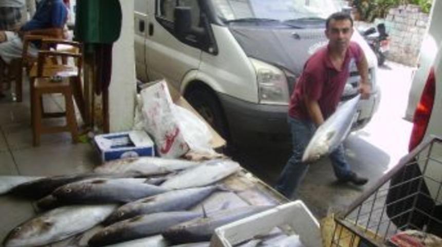 Marmaris&rsquo;te Akya Bereketi