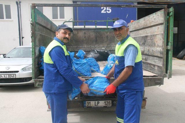 TAP&rsquo;a 230 Kilo Pil Teslim Edildi 1