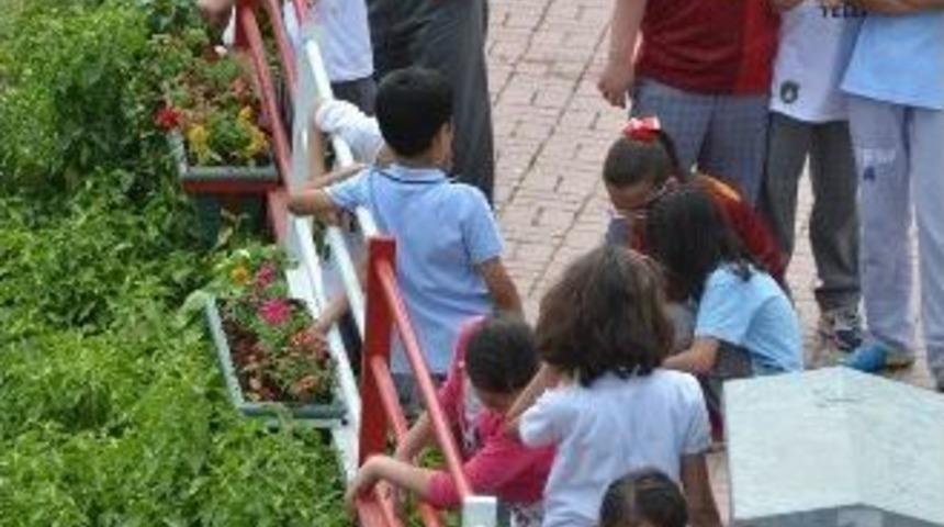 Korkuluklar &Ccedil;ocuklar Tarafından &Ccedil;i&ccedil;eklendirildi