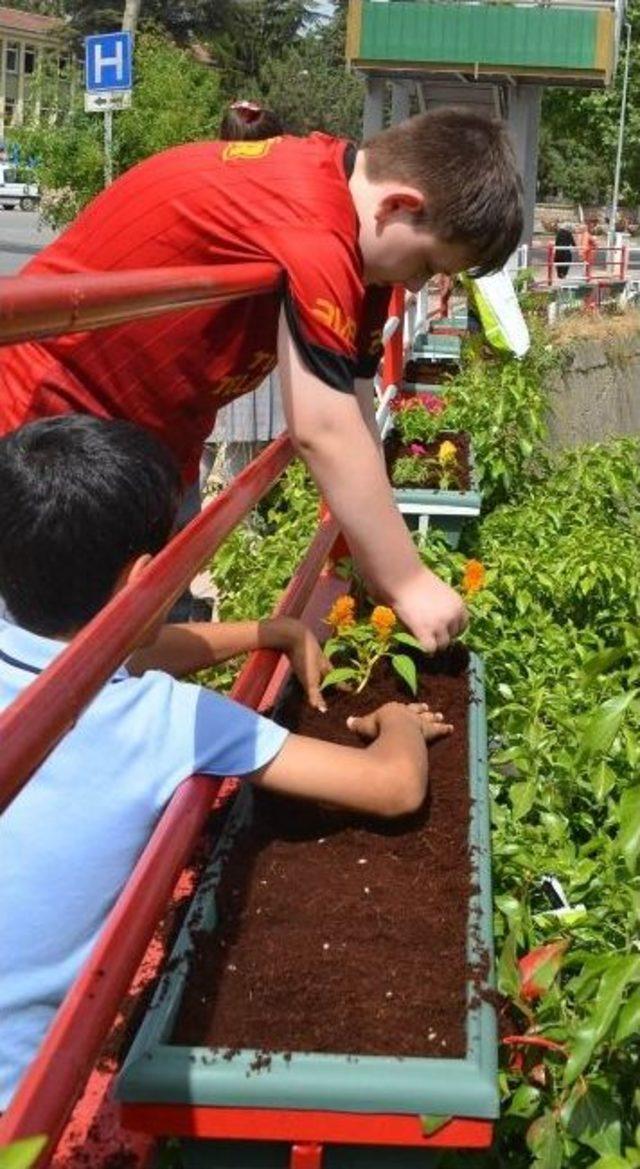 Korkuluklar &Ccedil;ocuklar Tarafından &Ccedil;i&ccedil;eklendirildi 1