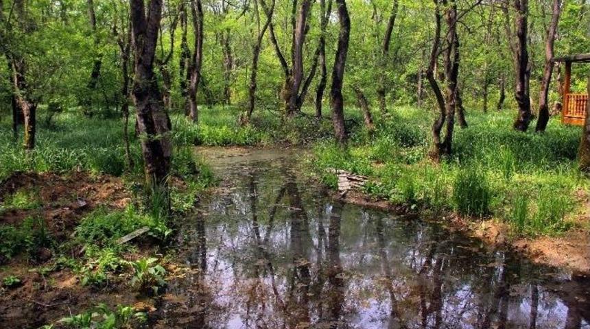 &Ccedil;akırlar B&uuml;y&uuml;t&uuml;lecek