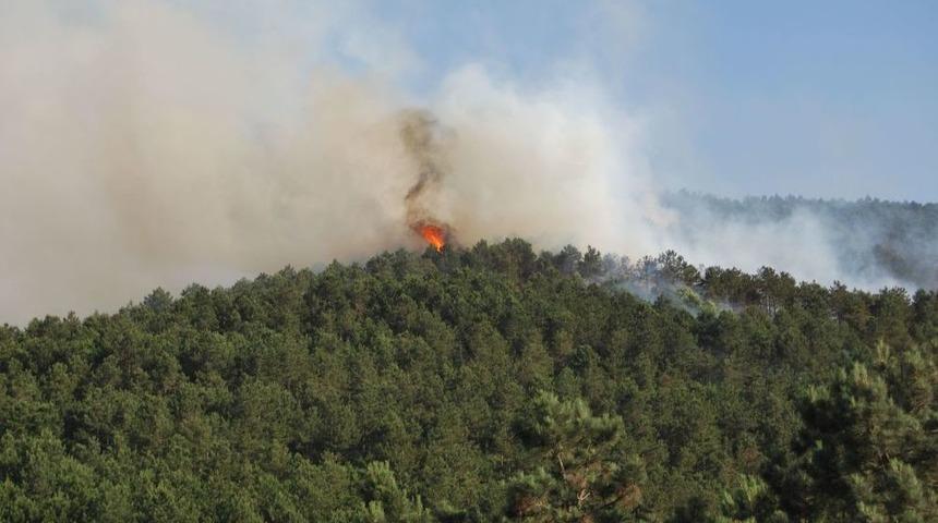 Sultanbeyli&rsquo;deki Orman Yangını, Kontrol Altına Alındı