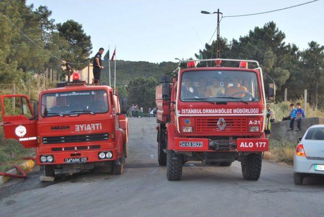 Sultanbeyli’deki Orman Yangını, Kontrol Altına Alındı