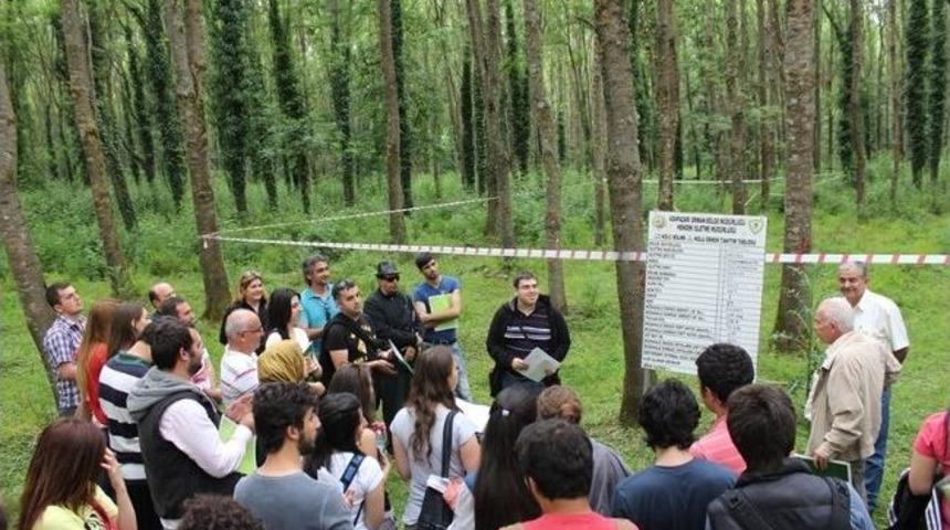 İt&uuml; Orman Fak&uuml;ltesi &Ouml;ğrencileri Hendek Orman İşletmesinde İncelemelerde Bulundu