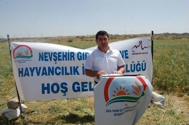 Nevşehir&rsquo;de Tarla G&uuml;n&uuml; Etkinliği 1