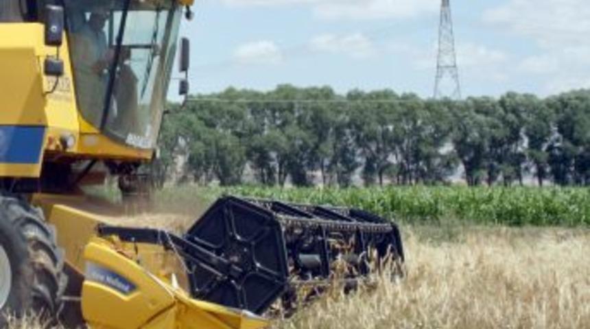 Elbistan Ovası'nda Sulu Alanda Hububat Ekimi Azalıyor