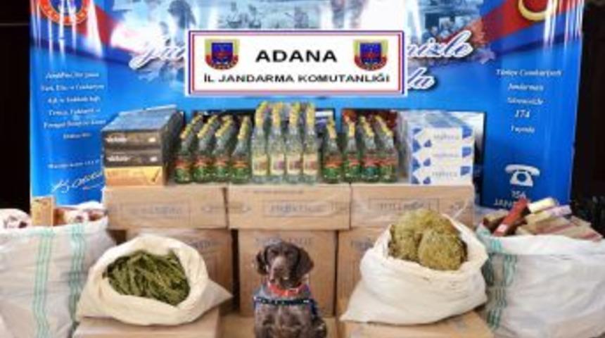 Adana'da Jandarma Ka&ccedil;ak&ccedil;ılara G&ouml;z A&ccedil;tırmıyor