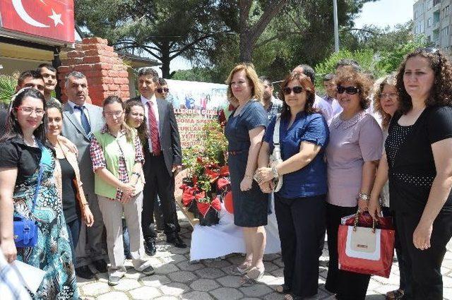 &Ouml;zel Ellerde Yetişen &Ouml;zel G&uuml;ller, Somalıların Beğenisine Sunuldu 2