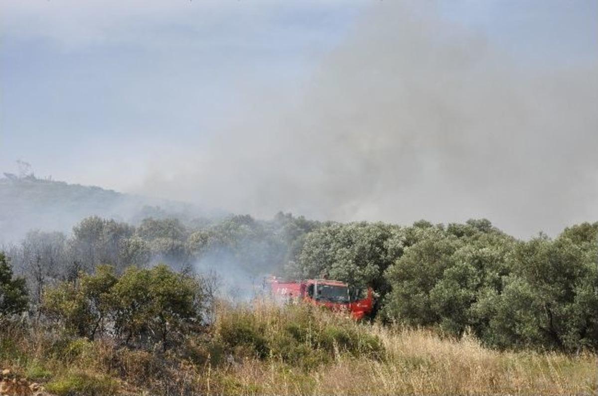 Fo&ccedil;a'da Orman Yangını
