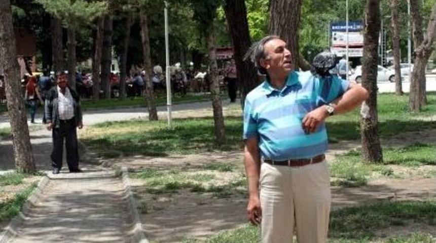 Karganın Annelik Duygusu