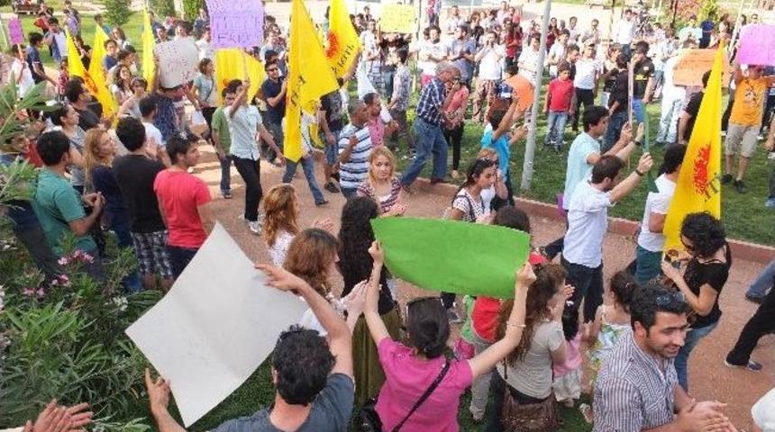 Mardin'de Gezi Parkı' Eylemi