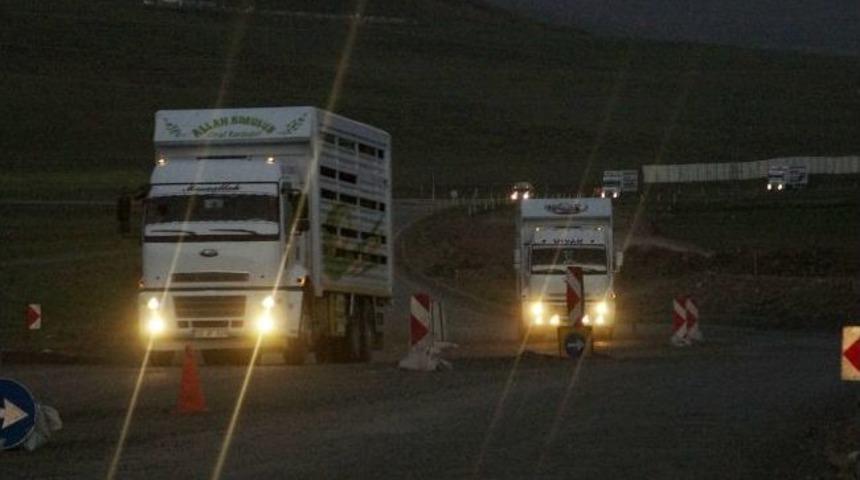G&ouml;&ccedil;erler Ve Koyunları Kamyonlarla Geldi