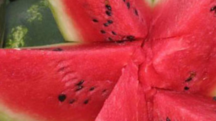 Karpuzdan zehirlenen 9 kişi hastanelik oldu