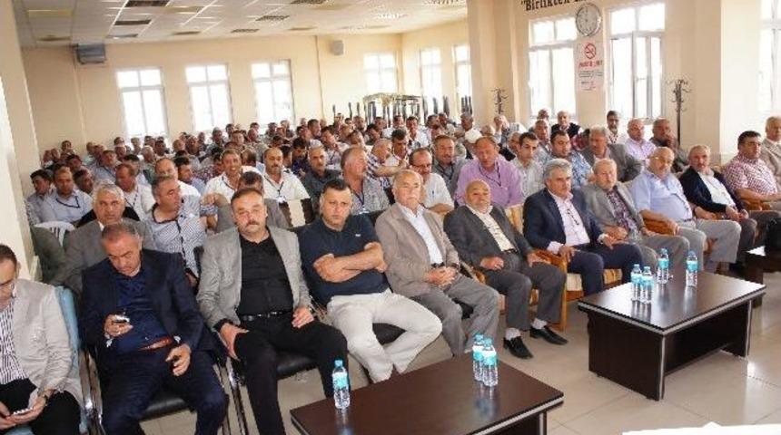 Taşıko, Mali Kurulunu Yaptı