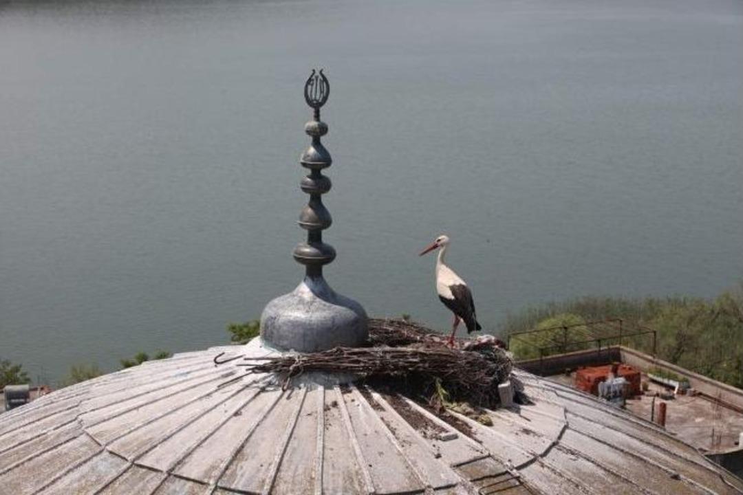 Leylek Şenliği B&uuml;y&uuml;ledi