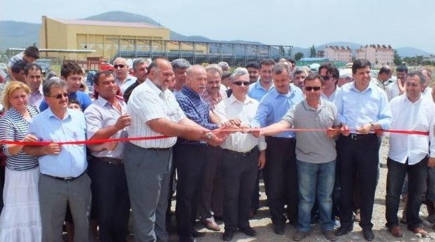 Emekler Meyve Vermeye Devam Ediyor