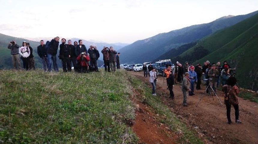 İkizdere&rsquo;de Dağ Horozu Şenliği Yapıldı