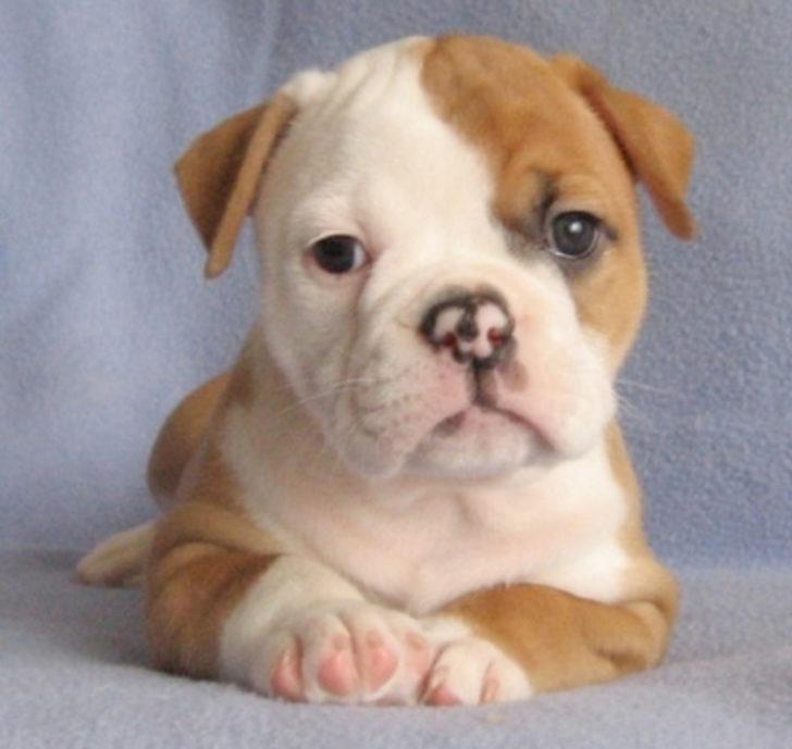 Bebeklik fotoğraflarından cinslerini tanıyabilir misiniz?