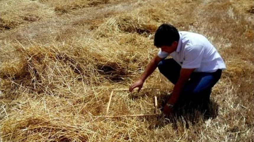 Dalaman&rsquo;da Bi&ccedil;erd&ouml;ver Kontrolleri Devam Ediyor