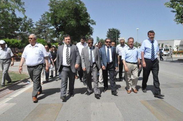 D&uuml;nya &Ccedil;evre G&uuml;n&uuml; 2