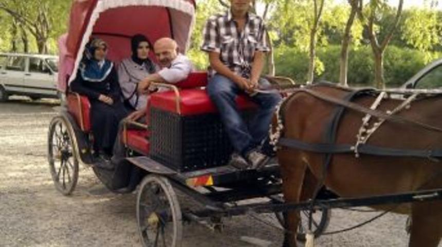 Sultansazlığı'nda 'fayton'lu Turlar Başlıyor