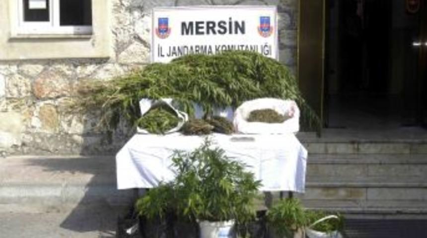 Mersin'de Uyuşturucu Operasyonu