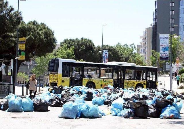 Taksim'deki Eylemlerde Halk Otobüsleri Hedef Alındı