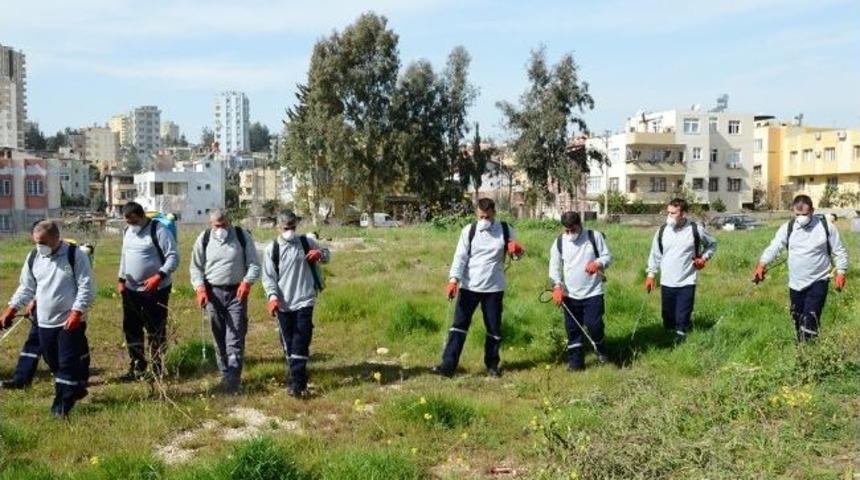 B&uuml;y&uuml;kşehir&rsquo;den Sinekle M&uuml;cadele