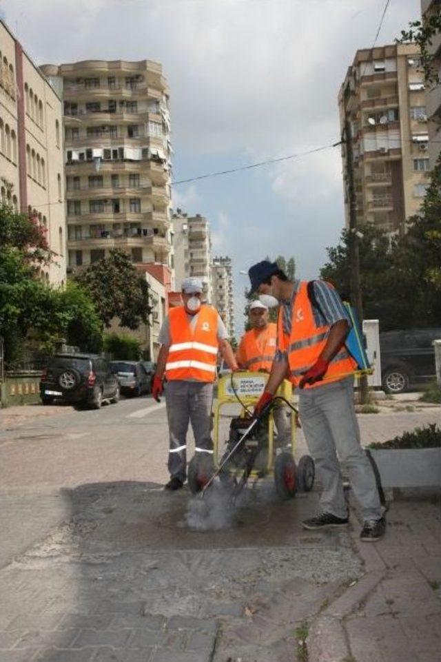 Büyükşehir’den Sinekle Mücadele