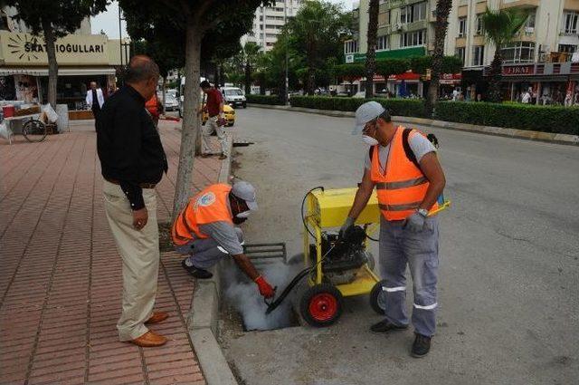 Büyükşehir’den Sinekle Mücadele