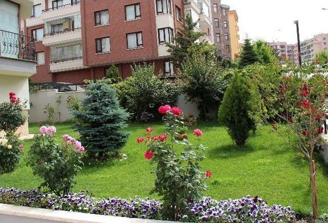 Balkon Bahçe Düzenlemede Ön Eleme Heyecanı Sürüyor