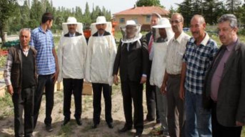 Başkentli &Uuml;reticilere 16 Bin 500 Kovan Kafkas Irkı Arı Dağıtıldı