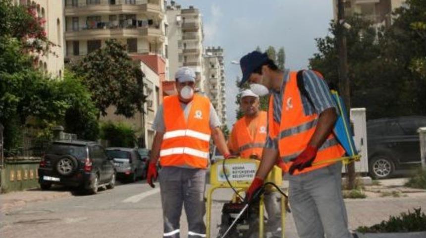 B&uuml;y&uuml;kşehir Sinekle M&uuml;cadelesini 110 Personelle S&uuml;rd&uuml;r&uuml;yor