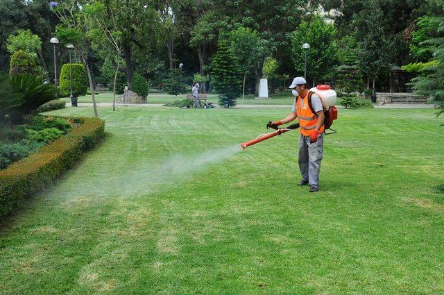 B&uuml;y&uuml;kşehir Sinekle M&uuml;cadelesini 110 Personelle S&uuml;rd&uuml;r&uuml;yor 1