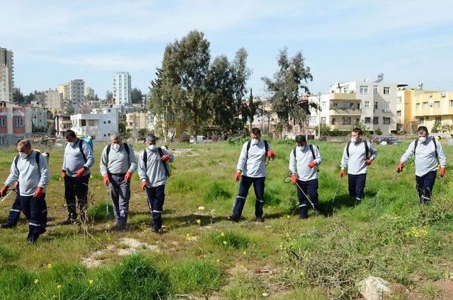 B&uuml;y&uuml;kşehir Sinekle M&uuml;cadelesini 110 Personelle S&uuml;rd&uuml;r&uuml;yor 2