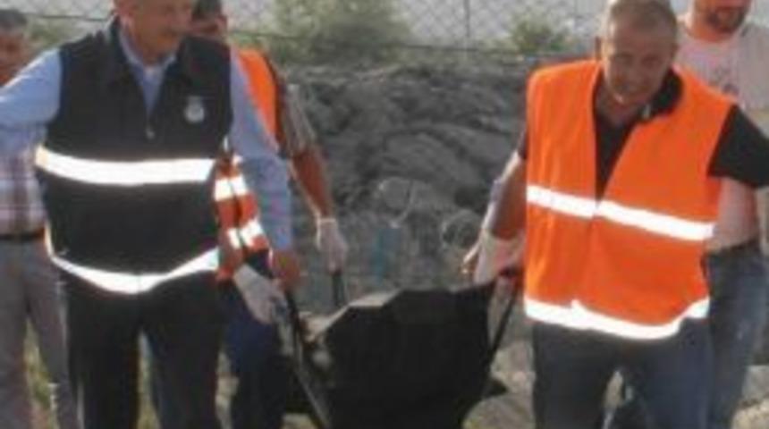 Denizde Bulunan Cesedin Kimliği Tespit Edilemedi